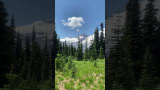 Seattle WA  July 2024 Mount Rainier National Park [upl. by Artekal]