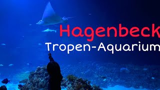 Hagenbeck TropenAquarium [upl. by Avad]