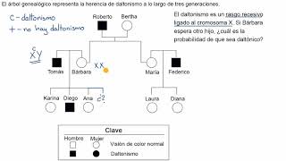 Árbol genealógico para determinar la probabilidad de presentar un rasgo recesivo ligado al sexo [upl. by Eirol]