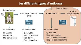 Anticorps recombinants [upl. by Constancy]