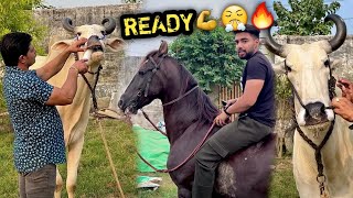 READY SET GO 🔥GANGA SNAN Ke Liye Sabhi Ko Ready Krdiya 😨Kya Hoga Kal [upl. by Luhar527]