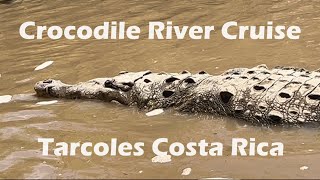 Crocodile River Cruise Tarcoles Costa Rica July 2024 [upl. by Margarete]