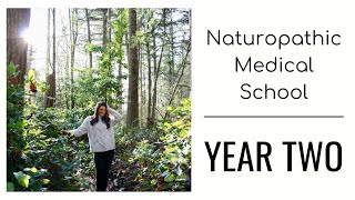 NATUROPATHIC MEDICAL SCHOOL YEAR TWO  Course Overview Bastyr University [upl. by Tallou]