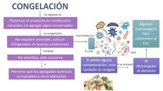 Método de conservación de alimentos congelación [upl. by Ellswerth742]