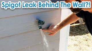 Fix Leak behind the Siding at the Outdoor Faucet  Spigot and Sillcock Replacement with Hose Hanger [upl. by Omrellig]