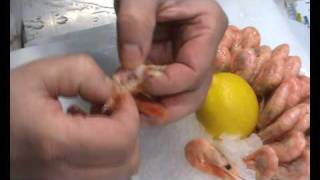 Grönlandgarnelen schälen  How to clean cold water prawns [upl. by Jarv]