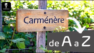 A Carménère de A a Z [upl. by Carolyn]