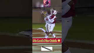 Incredible Blind Catch 🏈🔥nfl FootballMagic UnbelievableCatch EpicPlay americanfootball [upl. by Evelunn]