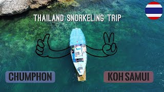 Best Snorkeling in Thailand  Koh Samui  Chumphon [upl. by Timus]