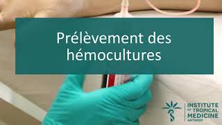 Prélèvement des hémocultures V1 [upl. by Assirehc]