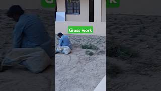 School grass work 5th oct 2024 video [upl. by Nyral831]