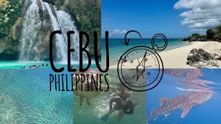 Cebu Swimming with sea animals canyoneering lounging at pristine beaches [upl. by Valentino]