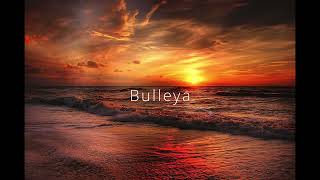 Bulleya  Sultan  Papon  Vishal amp Shekhar  Irshad Kamil  lofi song [upl. by Shelli]