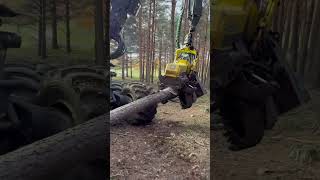 “Jawdropping tree cutting with harvesterUnbelieable power in action harvester johndeere timber [upl. by Nnarefinnej]