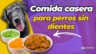 Cómo Preparar Comida Casera para Perros Sin Dientes [upl. by Eslek]