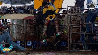 LOS TOROS DIVINOS PURO HUANDACAREO EN SAN NICOLAS TOTOLAPAN [upl. by Arimay402]