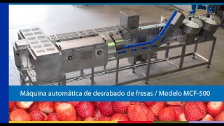 MCF500 Series Strawberry capper  Máquina desrabadora de fresas Versión 2018 [upl. by Enetsirk444]