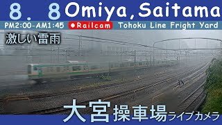 【LIVE】大宮操車場ライブカメラ 20240808 1400 OmiyaSaitamaJapan railcam [upl. by Feeley]