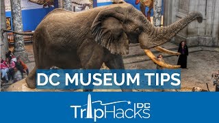 8 Tips for the Smithsonian and FREE museums in DC [upl. by Karoly]