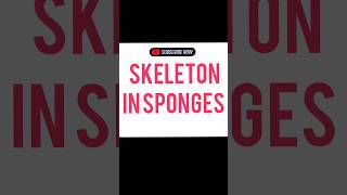 SKELETON IN SPONGES [upl. by Packer]