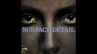 Surface Detail  The Culture Series  Iain M Banks Audiobook Pt1 [upl. by Kirt]