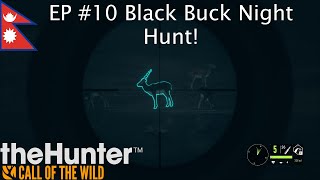 Relaxing Black Buck Night Hunt Sundarpatan  Thehunter Call of the Wild [upl. by Flss]