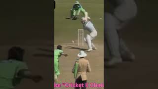 WASIM AKRAM Unplayable YORKERS 1992worldcup cricket [upl. by Crawley]