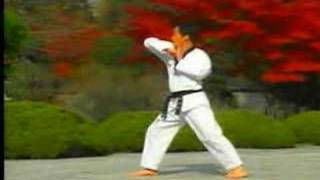 5 Taekwondo Poomsae Taegeuk Oh Jang WTF [upl. by Horton365]