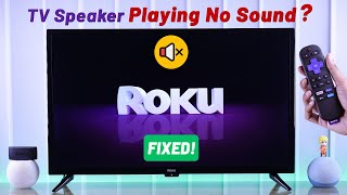 No Sound on Roku TV  Fixed [upl. by Corney]