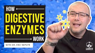 How Digestive Enzymes Work and Why You Need a Quality Enzyme  Dr Eric Nepute on Digestive Enzymes [upl. by Muraida257]