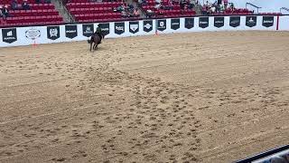 2024 IEA Nationals Varsity Intermediate Reining Individual [upl. by Ahsinej]