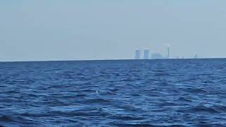 JULY 17 2024 AM SCALLOPING TOUR  SCALLOP ADVENTURES  CRYSTAL RIVER FLORIDA [upl. by Alla]