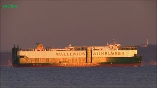 Evening glow Vehicle Carrier ISOLDE Wallenius Wilhelmsen Flag SWEDEN IMO 8321345 [upl. by Deeanne]