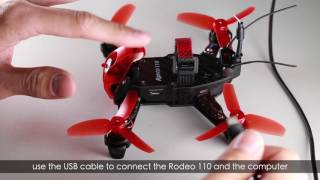 Rodeo 110 Cleanflight Firmware Flashing Instruction [upl. by Schiff]