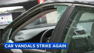 At least 12 cars ransacked during vandalism spree in Center City [upl. by Cherye511]