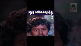 Madhura Marikolunthu மதுர மரிக்கொழுந்து [upl. by Hyman]