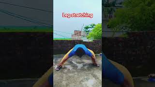 Leg stretching exercises martialarts legexercise kungfu athlete [upl. by Aicnarf]