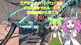 【江戸川サイクリングロード】BIANCHI VIA NIRONE7で江戸川サイクリングロードを水元公園までのルートで茨城県側から走ったはなし。ver20241114 1329 [upl. by Ikir]