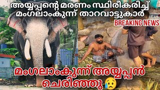 മംഗലാംകുന്ന് അയ്യപ്പൻ ചെരിഞ്ഞു 😥 പ്രണാമം mangalamkunnu Ayyappan elephant [upl. by Ailido768]