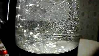 Boiling water in slow motion [upl. by Powel242]