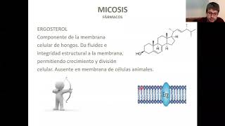 CAFH M3  Tema 7 Antimicóticos  Antiparasitarios [upl. by Oak]