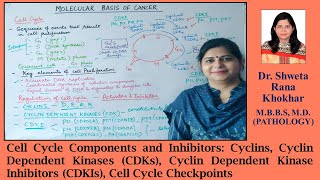 Cell Cycle Components and Inhibitors Cyclins CDKs CDKIs Cell Cycle Checkpoints  Neoplasia [upl. by Caresse]