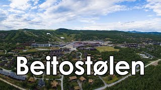 Beitostølen Summer 2020  Destination [upl. by Hebner309]