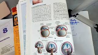 BODY CAVITIES and DIAPHRAGM development in easiest way part 1 [upl. by Nnaeoj]