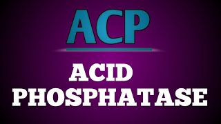 Estimation of Acid Phosphatase ACP [upl. by Apgar]