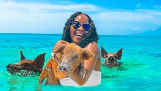 SWIMMING with PIGS in the Bahamas🐷🌊 [upl. by Flyn]