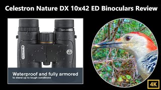 Celestron Nature DX ED 10x42 Binoculars Review [upl. by Tichonn]