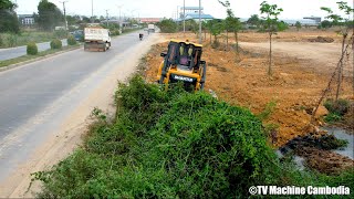 Excellent Techniques SHANTUI Dozer Forest Cutting Slope And Spreading Soil [upl. by Ronn]