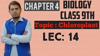 Chloroplast Explained  Class 9th Chp  4  Lec 14 [upl. by Nomyaw]