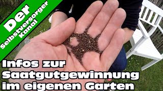 Infos zur Saatgutvermehrung im eigenen Garten [upl. by Zubkoff]